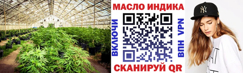 mega сайт  наркота  Мытищи  Дистиллят ТГК Wax 