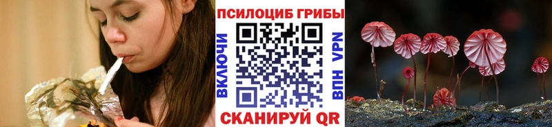 купить наркоту МЕГА вход Псилоцибиновые грибы Cubensis Мытищи